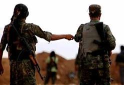 Terör örgütü PKK/YPG Haşdi Şabi ile birleşti