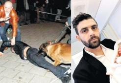 Hollanda köpeğinin davası ombudsmana kaldı