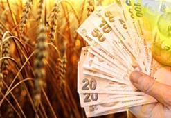 Borçlu çiftçiler için tanınan ek süre doluyor