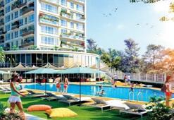 Eve bahar geldi