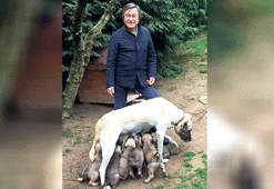 Evgin’in torunları