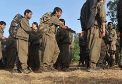 Gümüşhane kırsalında PKK'lı teröristlerle çatışma