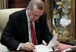 Erdoğan talimat verdi! Atama müjdesi