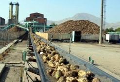 Bir şeker fabrikası daha satıldı