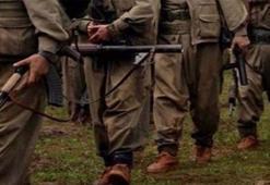 Terör örgütü PKK'nın siyasi parti oyunu