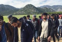 17 bin Faslı ülkesine döndü!