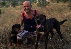 Marmaris'te şok! İki köpek zehirlenerek öldürüldü
