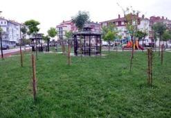 Kardeşiyle kavga eden 13 yaşındaki çocuğu sopayla öldürdü