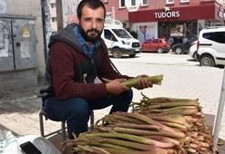 Muş’ta uçkunun kilosu 10 TL’ye düştü