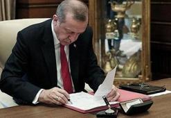 AK Parti’de yoğun beyanname mesaisi