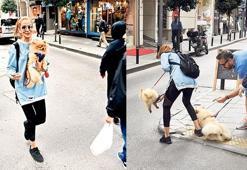 Köpeğini  zor kurtardı