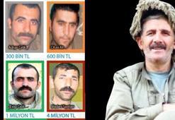 Arananlar listesinden 5 ayda 34 PKK’lı silindi!