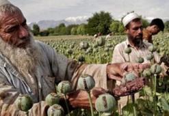 Afganistan'da afyon üretimi yüzde 90 arttı
