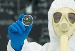 Nipah salgınında ölenlerin sayısı 17'ye çıktı