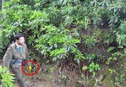 Fotokapana yakalanan teröristin sarı eldiveninin sırrı çözüldü