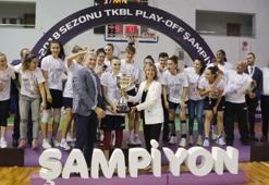 Mersin Basketbol, Kadınlar Basketbol Süper Ligi'nde