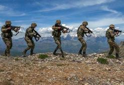 "Kandil'e 90 günde bayrak dikilir"