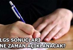 LGS sonuçları ne zaman açıklanacak?