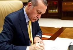 Cumhurbaşkanı Erdoğan 8 üniversiteye rektör atadı