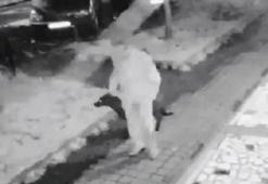 Hayvana şiddette bir sapkın olay da Kadıköy'den