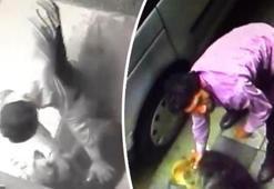 Kadıköy’de köpeğe şiddet uygulayan kişi gözaltına alındı