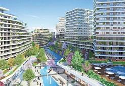 Garip Ada’yı alıp 8 bin mağdura evini verecek