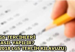 LGS sınav sonuçları nasıl sorgulanır? LGS tercih kılavuzu 2018