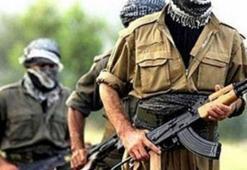 Hakkari'de gri listedeki terörist öldürüldü