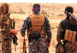 "PKK, DEAŞ ile gerçek anlamda savaşmıyor"
