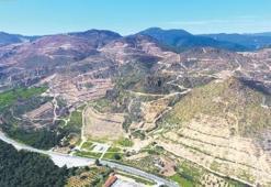 Çam ormanı yerine bal ormanı