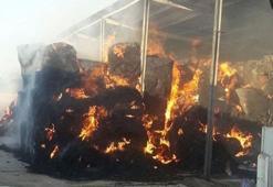 Kocaeli’de çiftlik yangını