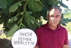 Kimse yemeyince bahçesine tabela astı