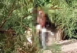 Samsun'da iğrenç olay! 69 yaşındaki kadına sokakta tecavüze kalkıştı