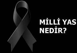 Milli yas nedir?