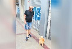 3 ögün  geziyor