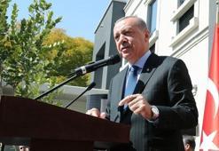 Cumhurbaşkanı Erdoğan: FETÖ'nün en faal olduğu ülkelerden biri Güney Afrika