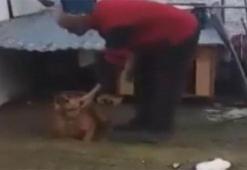 Manisa'da şoke eden görüntü!