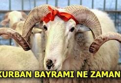 Kurban Bayramı tatili kaç gün? Kurbanlık fiyatları ne kadar?