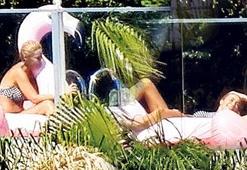 Flamingo aşkına