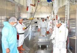 Yasak yerde kurban kesiminin cezası 105 lira