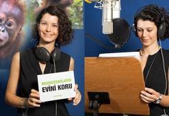 Beren’in orangutan sevgisi!