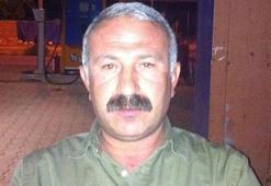 HDP'li Belediye Başkanına gözaltı