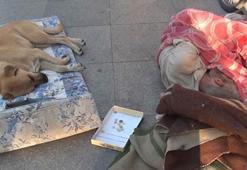 Yıllardır sokakta köpeğe sarılıp...