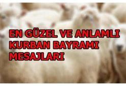 En güzel ve anlamlı Kurban Bayramı mesajları! Resimli bayram mesajları