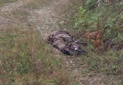 Gümüşhane'de öldürülen teröristler su aramaya çıkmış
