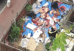 İngiltere’nin göbeğinde kaçak kurban kesimi yaptılar