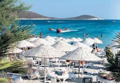 Beachler çıldırdı