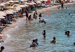 Bodrum rekor kırdı! 330 bin araç, 264 özel jet ve...