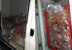 Mersin'de 1,5 ton kokmuş tavuk eti ele geçirildi
