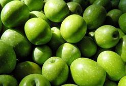 Zeytin ve zeytinyağı ihracatında tarihi rekor